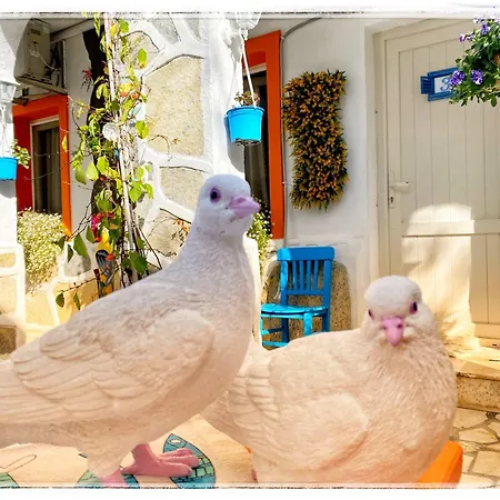 Sade Butik Bodrum